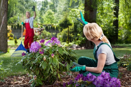 Gardeners Chessington team working in a lush garden