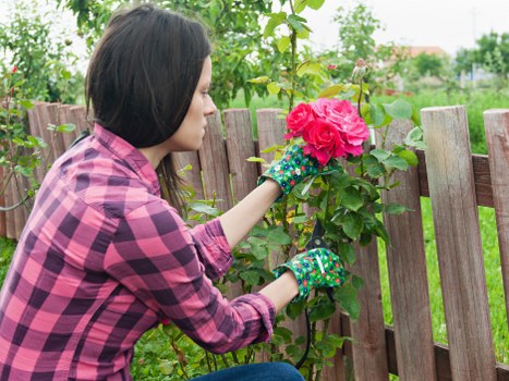 Choosing the right lawn mowing service in Chessington