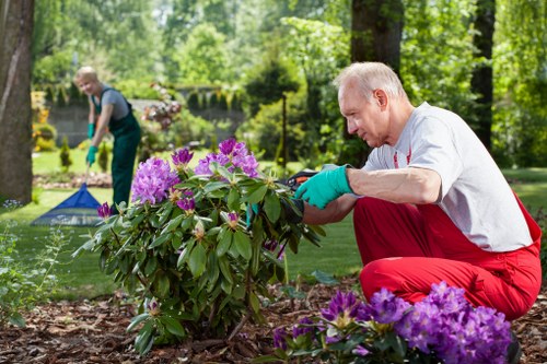 Tools used for garden clearance services