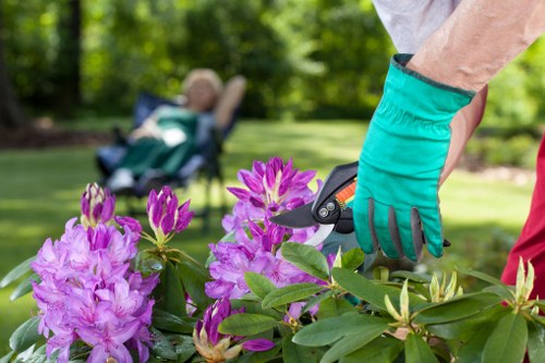 Garden clearance team removing overgrowth and sorting green waste