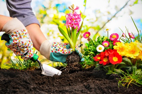 Professional landscaping services at work